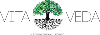 Vita Veda International School Logo